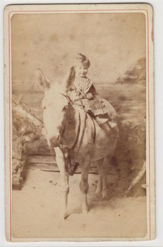 Donkey Cdv - Rhyl,  Small Child Sitting On A Seaside Donkey By A.  W.  Riches