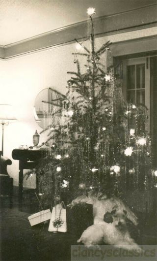 1930 Twinkling Xmas Tree Christmas Eve Lite Brite Wire Hair Terrier Dog Present
