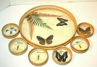 Vintage Bamboo Wicker Butterfly Tray And 6 Coasters