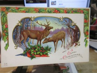 Old Antique Victorian Era Merry Christmas Postcard Deer Buck Doe Forest Holly