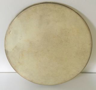 Amrawco 1920s 30s Vtg Calfskin 16 - Inch Drum Head Calf Skin From Ludwig Floor Tom