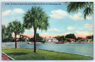 Postcard Fl 1947 St.  Petersburg Snell Isle From Coffee Pot Drive Linen View G6
