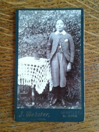 Antique Cdv Photograph Boy In Garden By J Webster Grantley Ripon
