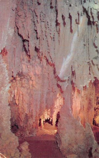 Postcard Nm Carlsbad Caverns The Queen 