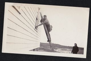 Old Vintage Antique Photograph Man On Ladder Cleaning / Painting Window
