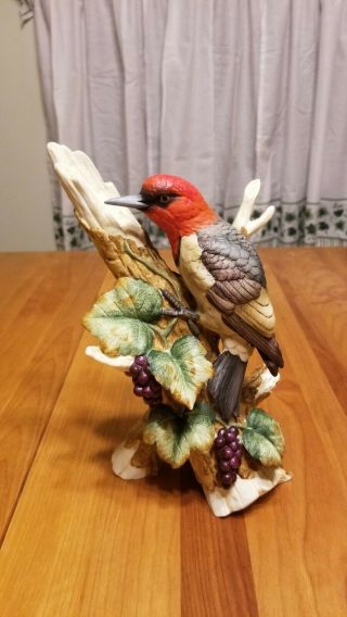Andrea By Sadek Porcelain Red - Headed Woodpecker 8752 Bird Figurine Statue