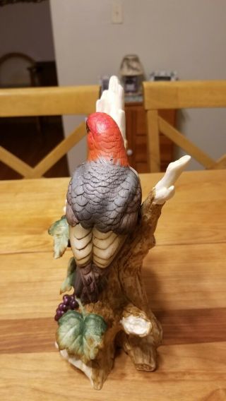 Andrea By Sadek Porcelain Red - Headed Woodpecker 8752 Bird Figurine Statue 2