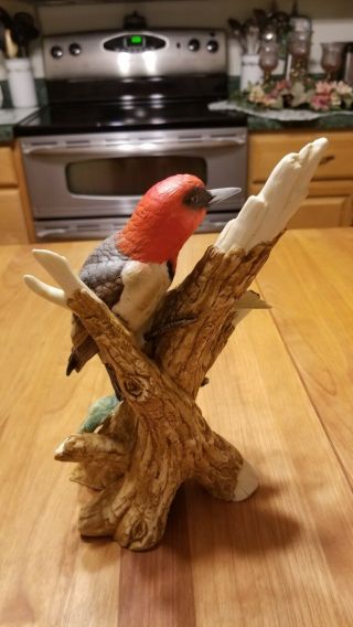 Andrea By Sadek Porcelain Red - Headed Woodpecker 8752 Bird Figurine Statue 3