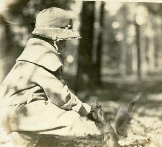 L412 Vtg Photo Little Girl Feeding A Squirrel In Park C Early 1900 