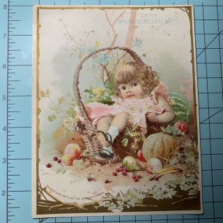 Mclaughlin’s Xxxx Coffee Large Victorian Trade Card Baby Girl In Basket Cute