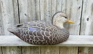Hand Carved Wooden Black Duck Decoy by G.  Hoyt in 1985 2