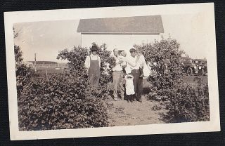 Vintage Antique Photograph People In Yard - Babies - Man In Overalls