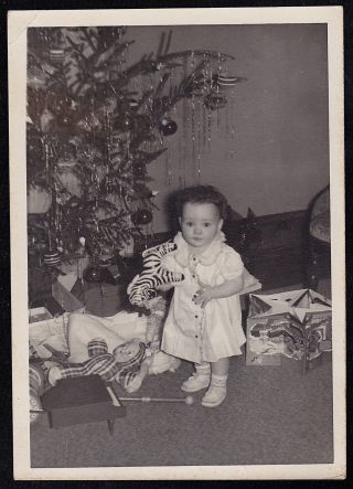 Antique Vintage Photograph Little Girl W/ Toy Zebra Standing By Christmas Tree