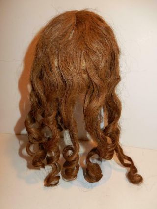 Antique Human Hair Wig For German French Bisque Character Doll Sz 14 Long Curls