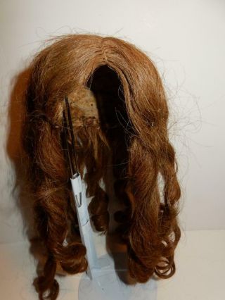 ANTIQUE HUMAN HAIR WIG FOR GERMAN FRENCH BISQUE CHARACTER DOLL SZ 14 LONG CURLS 2