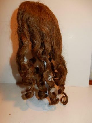 ANTIQUE HUMAN HAIR WIG FOR GERMAN FRENCH BISQUE CHARACTER DOLL SZ 14 LONG CURLS 3