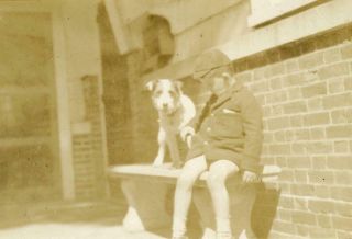 At144 Vintage Photo Boy Sitting With His Terrier Dog,  Vt C 1920 