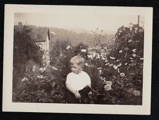 Antique Vintage Photograph Cute Little Boy Sitting In Garden With Flowers