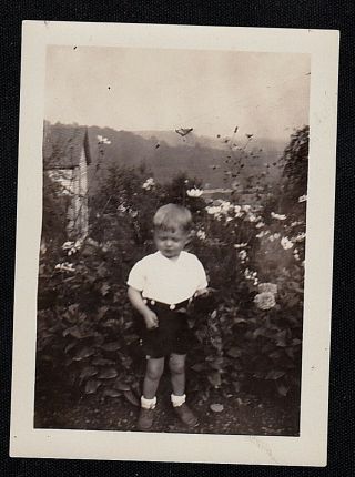 Antique Vintage Photograph Cute Little Boy Standing In Garden With Flowers