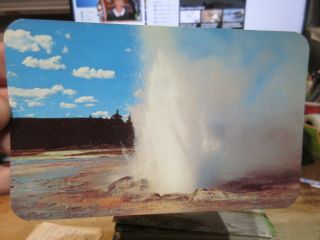 Vintage Old Wyoming Postcard Yellowstone National Park Daisy Geyser Cooke City