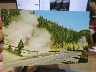 Vintage Old Wyoming Postcard Yellowstone National Park Beryl Spring Gibbon River