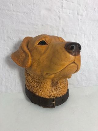 England Bossons Head Chalkware Wall Dog Golden Labrador Cast 1968 11h