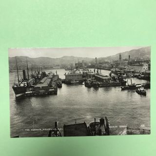 Wellington Zealand Rppc Real Photo Vintage Postcard The Harbour