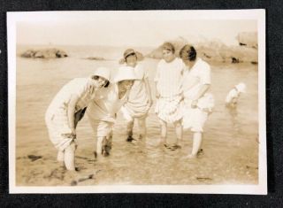 Vintage Bw Photo Dg: 1926 Torquay Family Holiday: Ladies Taking A Dip In Sea