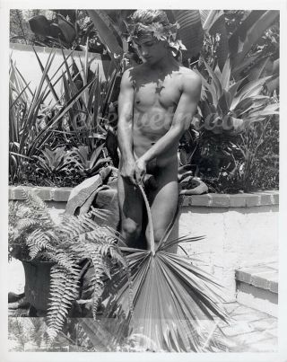 Vintage Male Nude - 2 For 1 Von Gloeden Style Italian Figure Studies In Garden