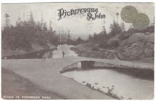 Rockwood Park,  Picturesque St.  John,  Brunswick,  Canada Vintage Coin Postcard