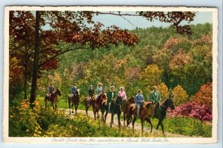 Vintage Postcard Bridle Trails Horse Riding Buck Hill Falls Pennsylvania Pa