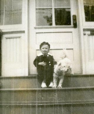 Kj496 Vtg Photo Child On Steps With White Dog C 1936