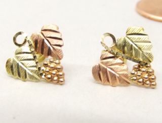 Vtg 10k Black Hills Gold Stud Earrings Cluster Vine Leaf Rose Yellow Grape Bunch
