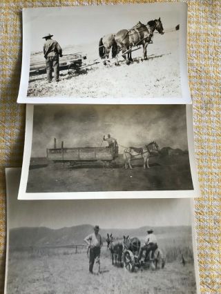 3 Antique Black And White Photo Horses And Farm Equipment