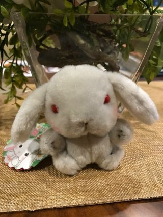Amuse Pote Usa Loppy Mini Plush Japan Bunny Rabbit Stuffed Toy Grey Red Eyes