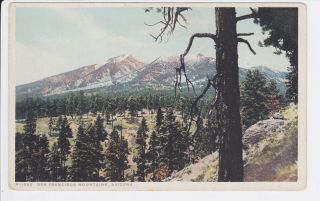 San Francisco Mountains Flagstaff Arizona Postcard Unposted Fred Harvey Phostint