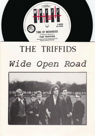 Triffids Orig Oz Promo Ps 45 Wide Open Road Nm ’86 White Hot K9929 Alt Rock