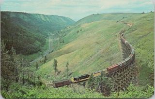 Train Camas Prairie Idaho Id Railroad Btwn Lewiston & Grangeville Postcard F48a