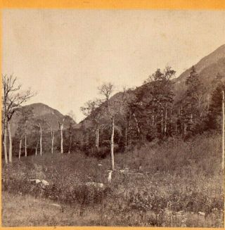 View In The Franconia Notch.  Kilburn Brothers.  Stereoview Photo