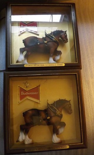 Vintage Budweiser Clydesdale Shadow Box Signs In