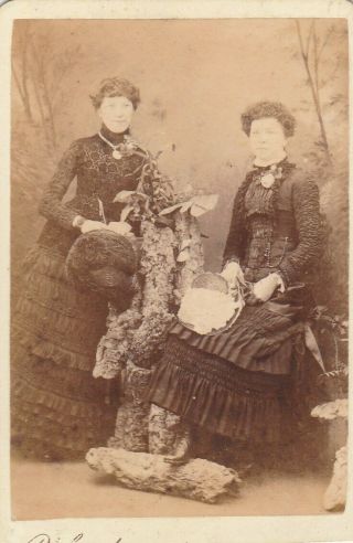 Cdv Victorian Carte De Visite Photograph - Two Women By Richardson Of Nottingham