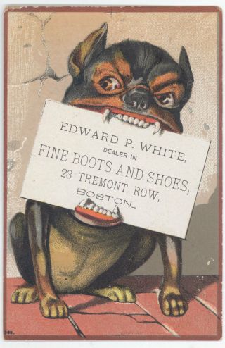 Boston Mass Adv Trade Card Edward White Boots & Shoes Dog