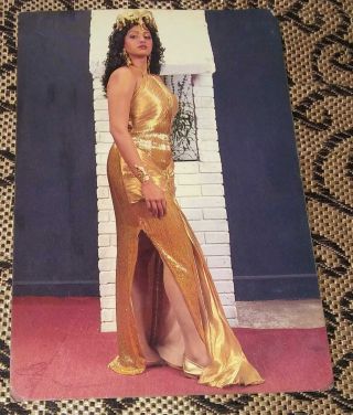 Bollywood Film Star Actress Sri Devi Postcard (royal Pc - 635)