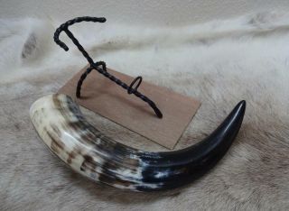Large Size Viking Drinking Horn & Iron Stand Camping Re - enactment Stage LARP A15 2