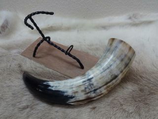 Large Size Viking Drinking Horn & Iron Stand Camping Re - enactment Stage LARP A15 3