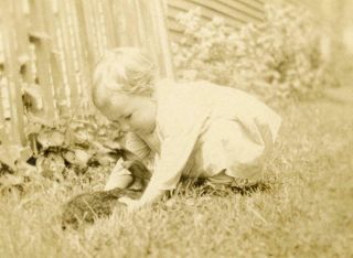 Cc504 Vintage Photo Baby With A Bunny,  Rabbit C Early 1900 