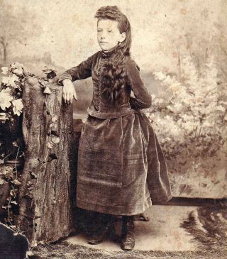 Little Girl In Velvet Dress - 1880s Cabinet Photo - C.  G.  Blatt - Bernville,  Pa