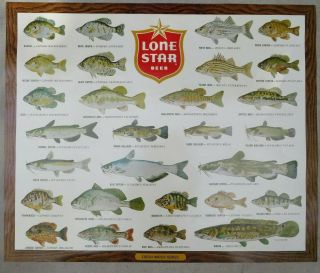 Lone Star Beer Poster Fresh Water Series Wood Grain Fish Texas Small Edge Issue