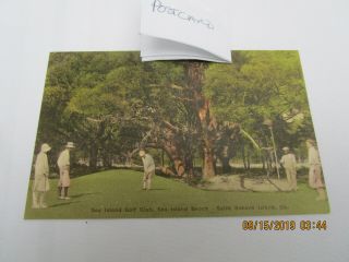 Vintage Golf Postcard St.  Simons Island Ga Sea Island Golf Club