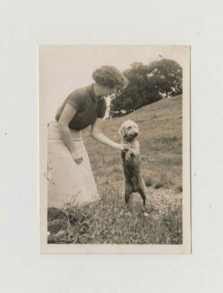 Old Photo Pet Dog Animal Bedlington Terrier Humour People Woman D547